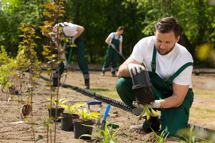 Gardener Jobs in UK | work at Clarion Housing Group